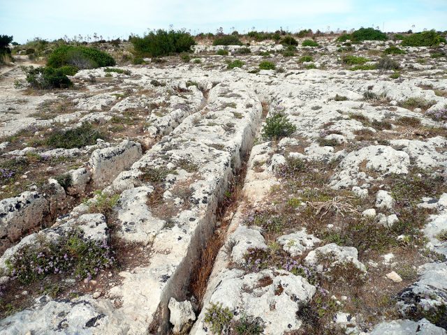 Cart Ruts